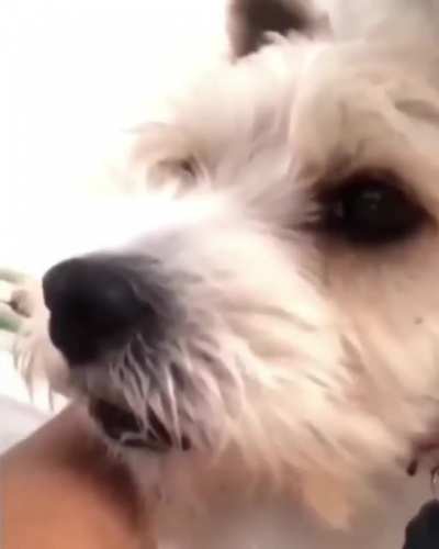 Cadê a máscara?