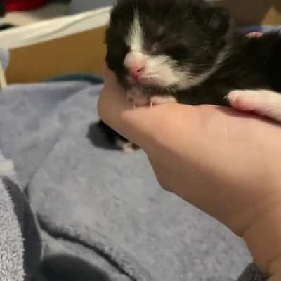 The smollest hiccups