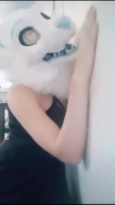 Furry gamer