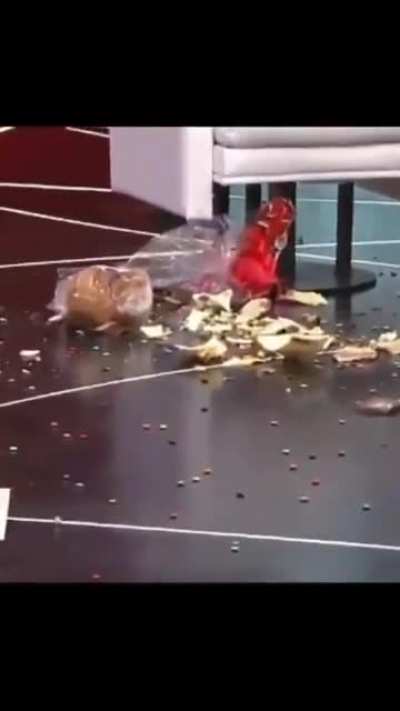 La mejor televisión del mundo