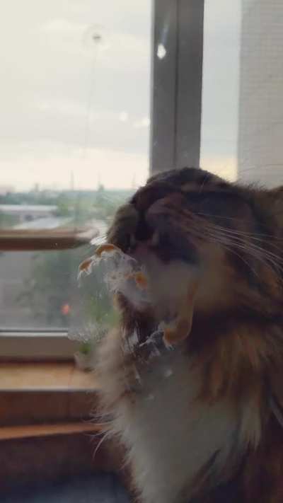 Food is love