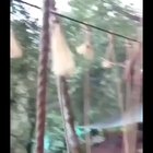 Dude sounded like a balloon