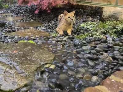 Touch Tha Water