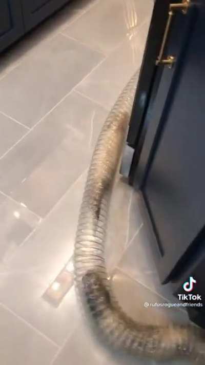 Ferret Subway System