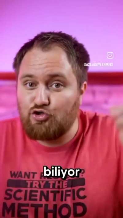 Ekonomi Agaci