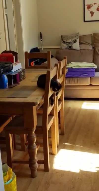 Spooked by a chair