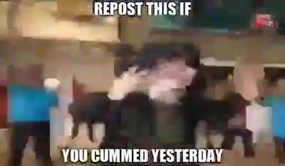 Had to repost