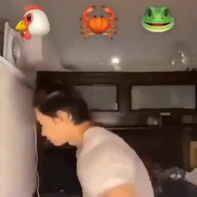 🐔🦀🐸