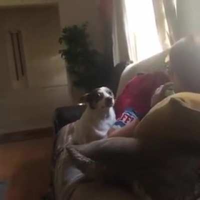 Mister Bubz must protect the chips