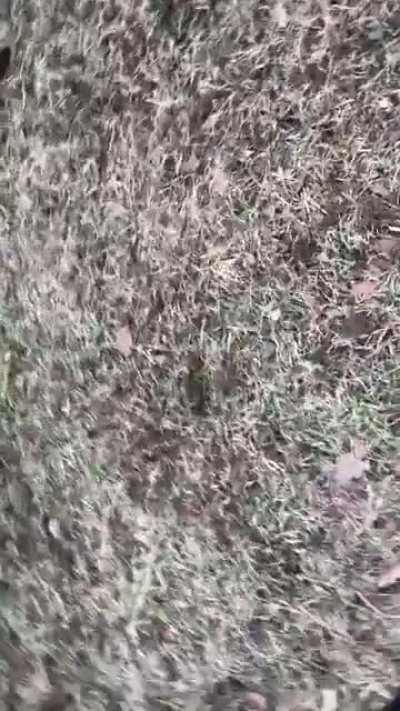 It’s hunting season!