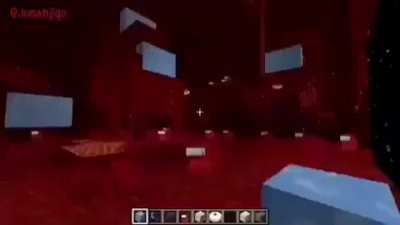 Sus