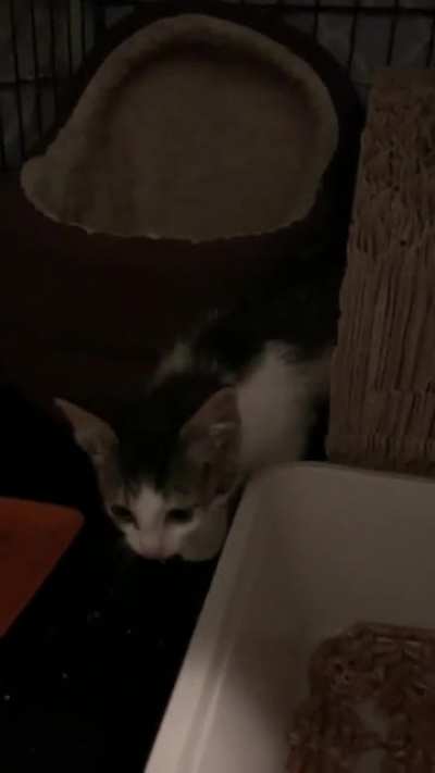 My sister having a conversation with one of our foster babies