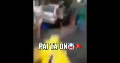 Pai...