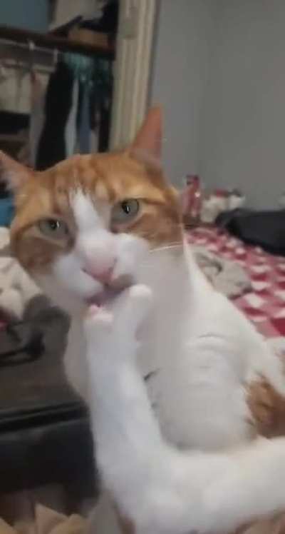 Deep clean