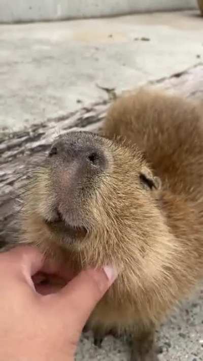 ‎