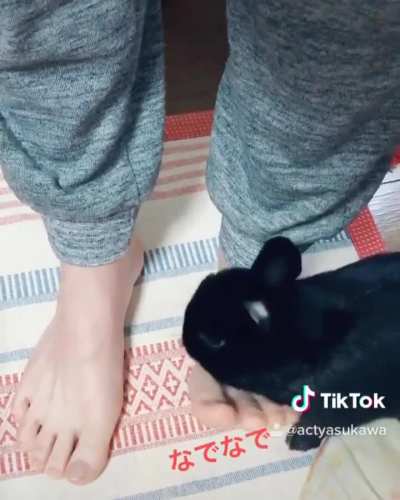 Act Yasukawa feet