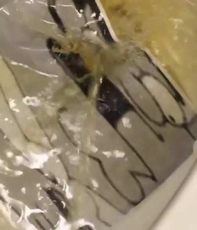 Pee-tar🤤