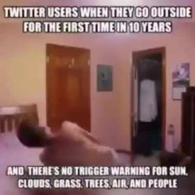 Rule 🐦