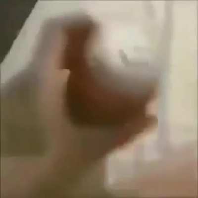 Blursed_Pipebomb