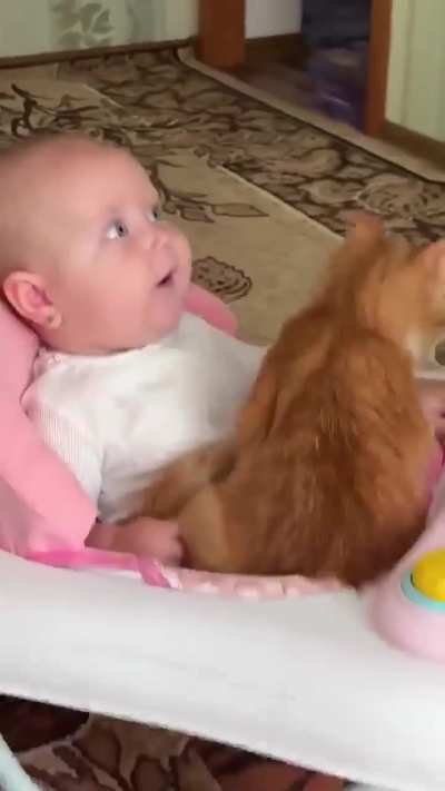 Home school teacher