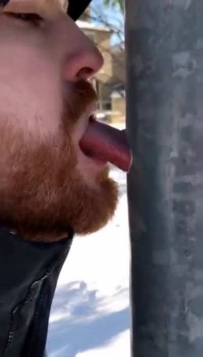 Triple dog dared?