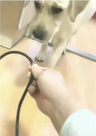 Воспитание