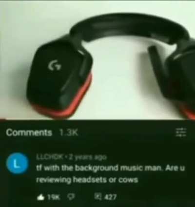 definitely cows
