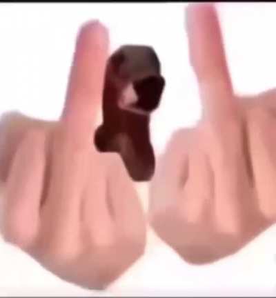 rude wunk