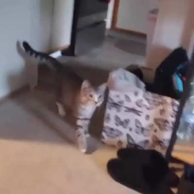 Where the heck did it go?