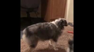 Convolk