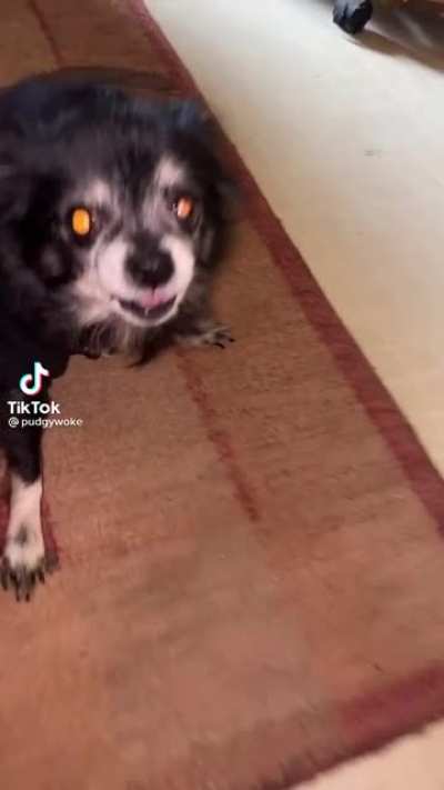 Found this absolute gem on tiktok