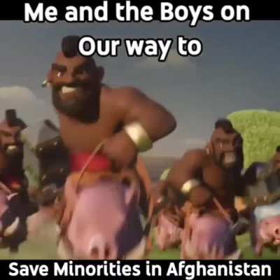 🐖🐖🐖🐖🐖