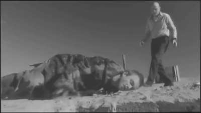 A Rather Violent Silent Film