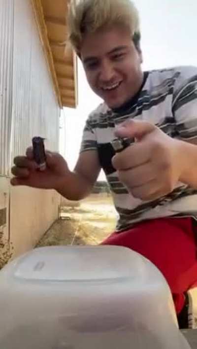 Молодец