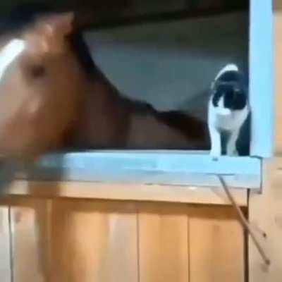 Get out of here