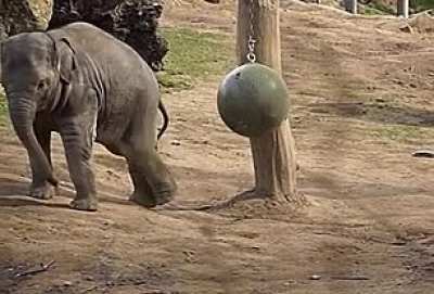 Kick That Ball!