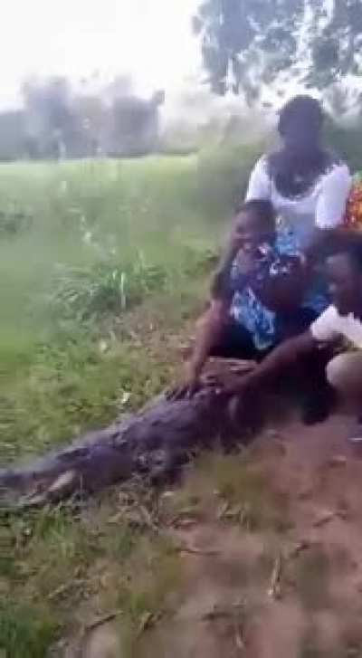 Let me quickly take a picture with this crocodile.