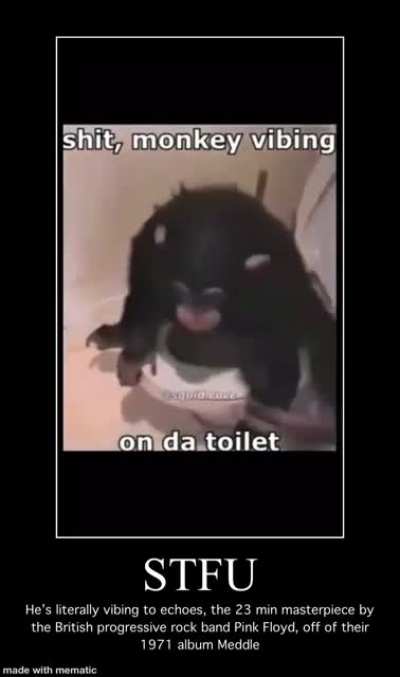 Seamus (that’s the monkey)