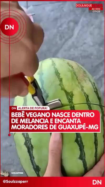 reau ou feique?