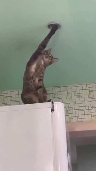 Aaaaaaaaa