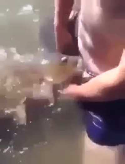 Fishy succin