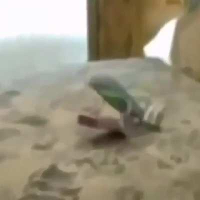 Eu nem sei oq dizer