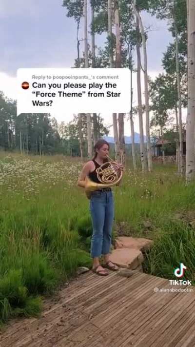 Binary Sunset played on French horn