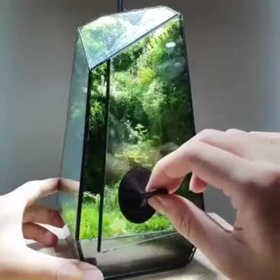 Cool Mini Ecosystem