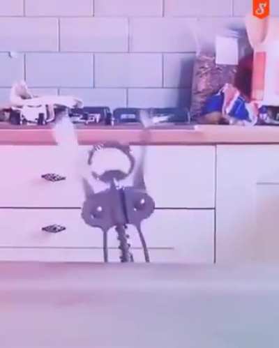 This is us when no one is looking