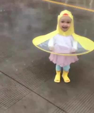 This little duckie in the rain