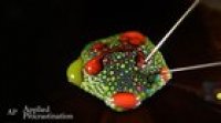 Ferrofluid holding little pockets of vividly colored paint