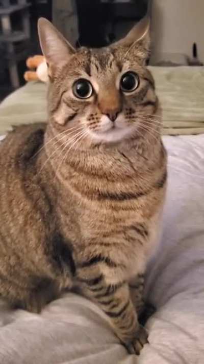 how she let's me know she would like to share my food