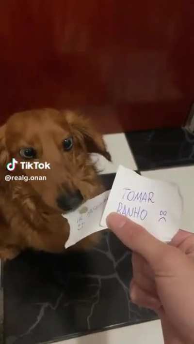 Coitado kkk