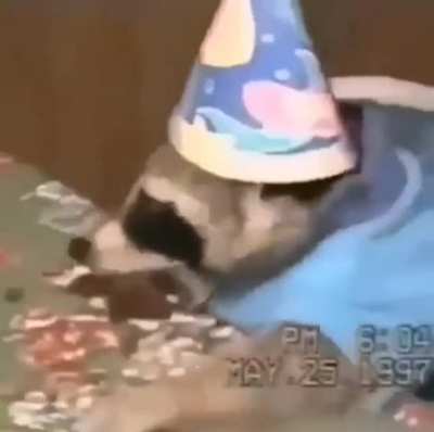 Feliz cumple